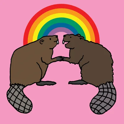 Beavers Under the Rainbow