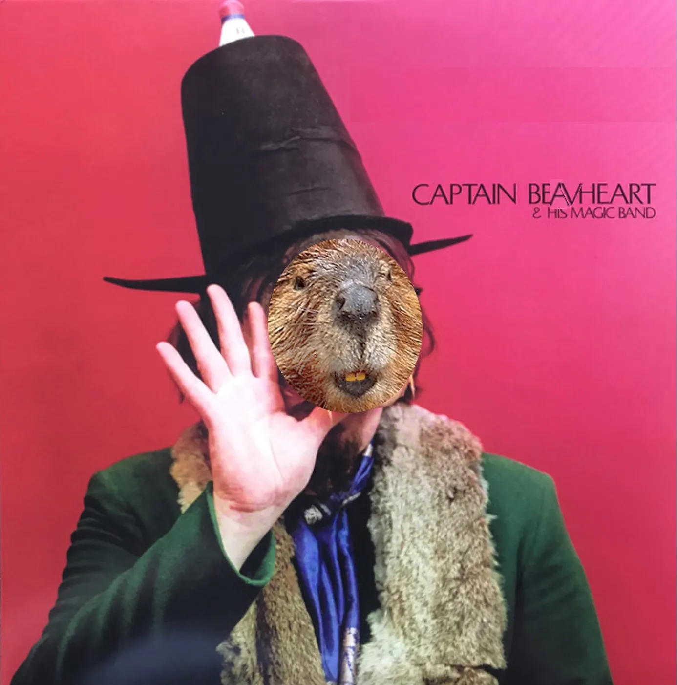 Captain Beavheart